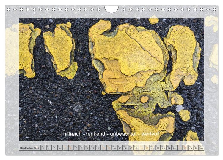 Produktbild: Entdeckend: Natur - Energie - Zufriedenheit (Wandkalender 2026 DIN A4 quer), CALVENDO Monatskalender