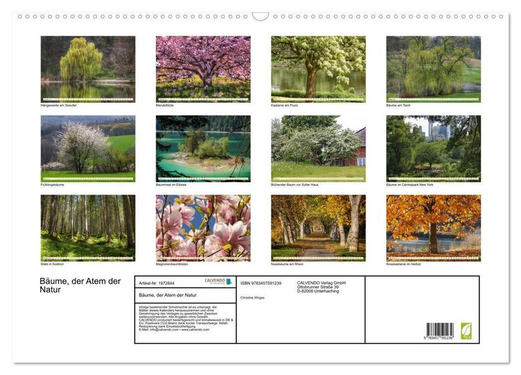 Produktbild: B&auml;ume, der Atem der Natur (Wandkalender 2026 DIN A2 quer), CALVENDO Monatskalender