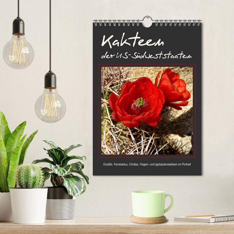 Produktbild: Kakteen der US-S&uuml;dweststaaten (Wandkalender 2026 DIN A4 hoch), CALVENDO Monatskalender