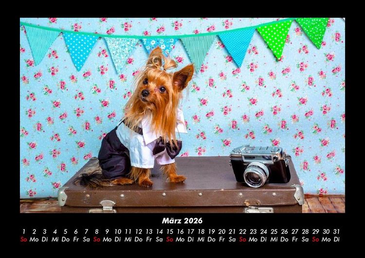 Produktbild: Welt der Tiere 2026 Fotokalender DIN A3