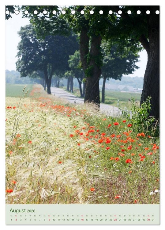 Produktbild: Mohn im Feld (Tischkalender 2026 DIN A5 hoch), CALVENDO Monatskalender