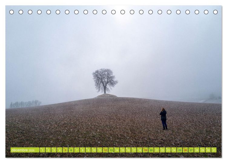 Produktbild: Solitude verdoyante (Calendrier de bureau 2026 DIN A5 vertical), CALVENDO calendrier mensuel