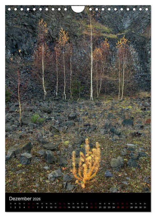 Produktbild: NATUREART - KUNST IN DER NATUR (Wandkalender 2026 DIN A4 hoch), CALVENDO Monatskalender