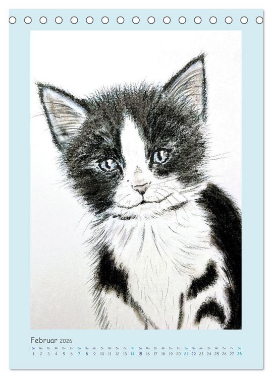 Produktbild: PortraiTierART Samtpf&ouml;tchen (Tischkalender 2026 DIN A5 hoch), CALVENDO Monatskalender
