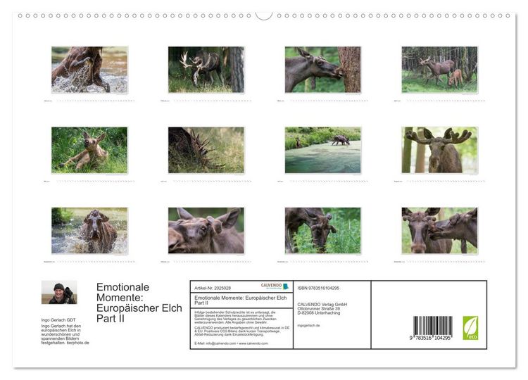 Produktbild: Emotionale Momente: Europ&auml;ischer Elch Part II (hochwertiger Premium Wandkalender 2026 DIN A2 quer), Kunstdruck in Hochglanz