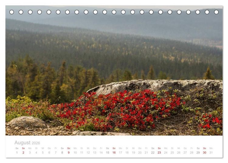 Produktbild: Heimat der Samen (Tischkalender 2026 DIN A5 quer), CALVENDO Monatskalender
