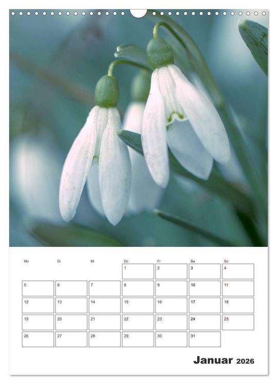 Produktbild: Farbiger Bl&uuml;tentraum (Wandkalender 2026 DIN A3 hoch), CALVENDO Monatskalender