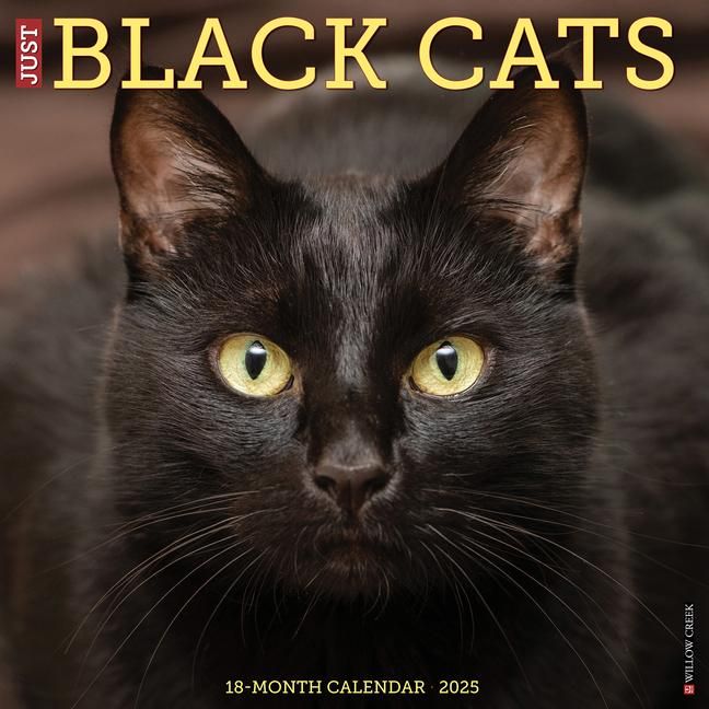 Produktbild: Willow Creek Press: Just Black Cats 2025 12 X 12 Wall Calend