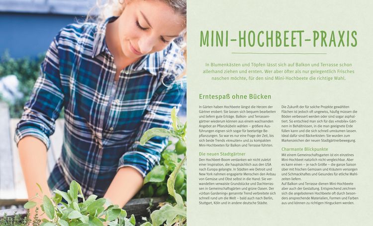 Produktbild: Mini-Hochbeete