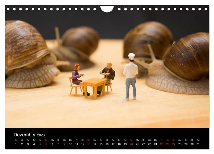 Produktbild: Die gro&szlig;e Welt (Wandkalender 2026 DIN A4 quer), CALVENDO Monatskalender