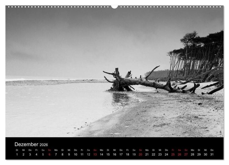 Produktbild: Strandspaziergang an der Ostsee (Wandkalender 2026 DIN A2 quer), CALVENDO Monatskalender