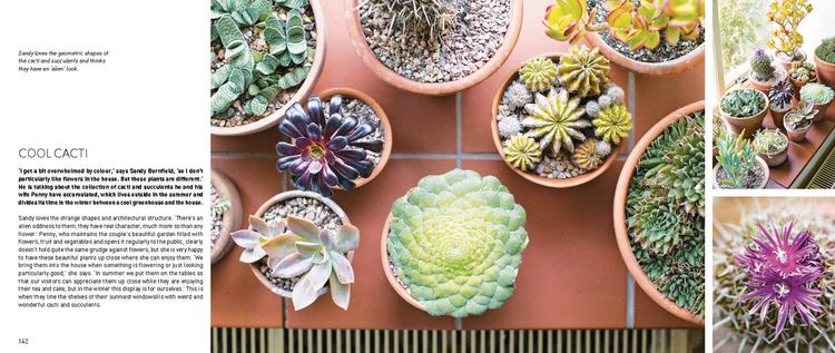 Produktbild: Leendertz, L: My Tiny Indoor Garden