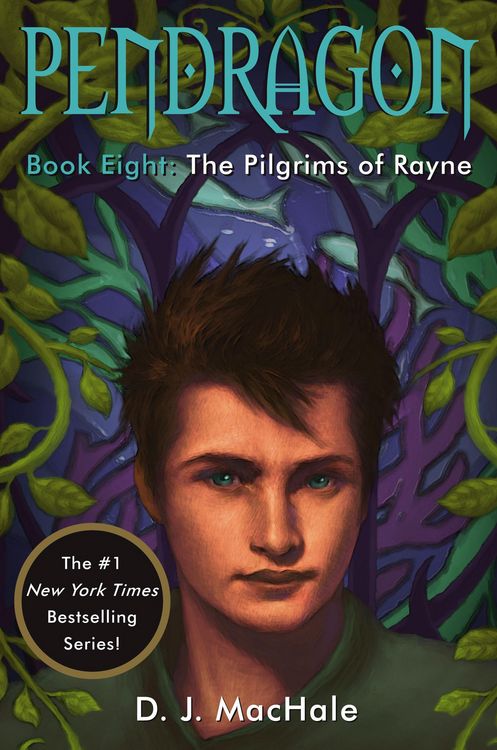 Produktbild: The Pilgrims of Rayne