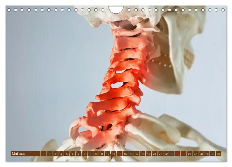 Produktbild: Chiropraktik - mit den H&auml;nden behandeln (Wandkalender 2026 DIN A4 quer), CALVENDO Monatskalender