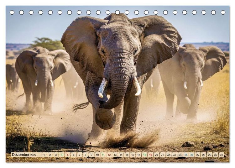 Produktbild: Gro&szlig;e und kleine Elefanten (Tischkalender 2027 DIN A5 quer), CALVENDO Monatskalender