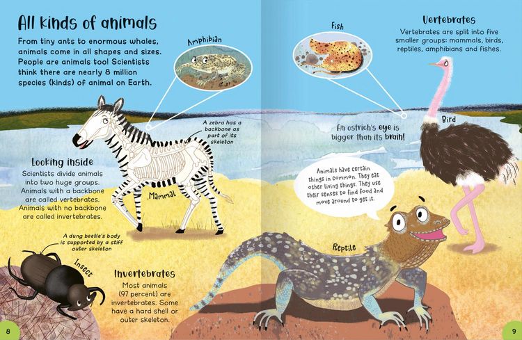 Produktbild: Encyclopedia of Incredible Things