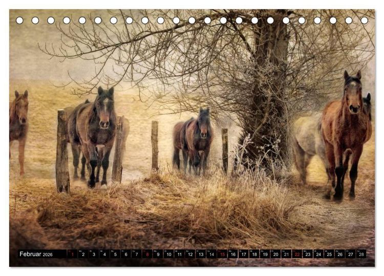 Produktbild: Western und Pferde (Tischkalender 2026 DIN A5 quer), CALVENDO Monatskalender