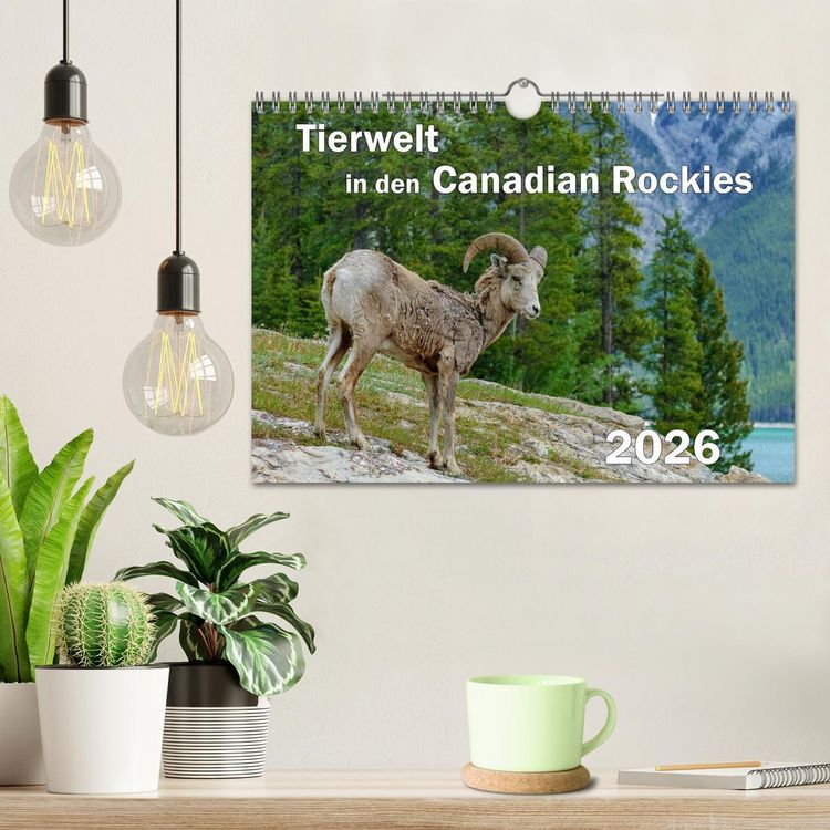Produktbild: Tierwelt in den Canadian Rockies (Wandkalender 2026 DIN A4 quer), CALVENDO Monatskalender