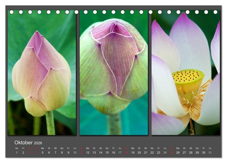 Produktbild: MEDITATION Zeit f&uuml;r mich (Tischkalender 2026 DIN A5 quer), CALVENDO Monatskalender