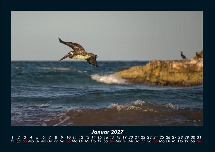 Produktbild: Welt der V&ouml;gel 2027 Fotokalender DIN A4