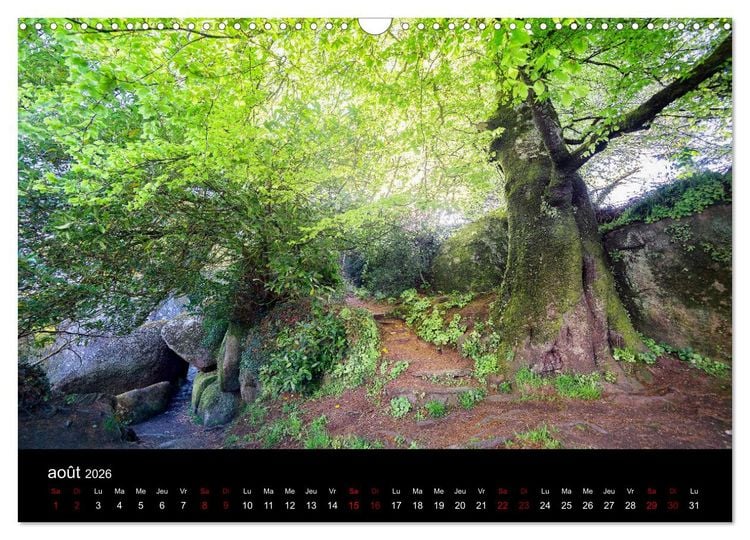 Produktbild: Lumi&egrave;res de Broc&eacute;liande (Calendrier mural 2026 DIN A3 vertical), CALVENDO calendrier mensuel
