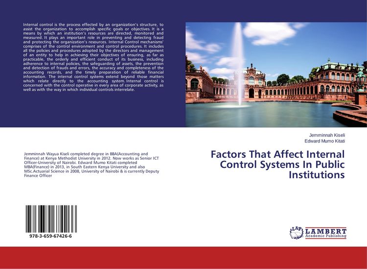 Produktbild: Factors That Affect Internal Control Systems In Public Institutions
