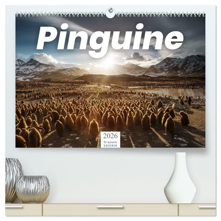 Produktbild: Pinguine - Die sympathischen Frack-Tr&auml;ger (hochwertiger Premium Wandkalender 2026 DIN A2 quer), Kunstdruck in Hochglanz