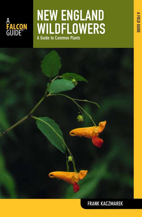 Produktbild: New England Wildflowers