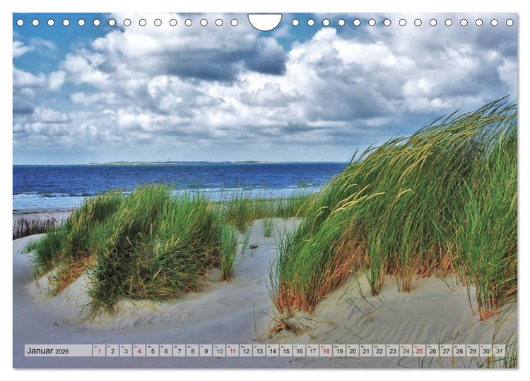 Produktbild: Typisch Amrum! (Wandkalender 2026 DIN A4 quer), CALVENDO Monatskalender