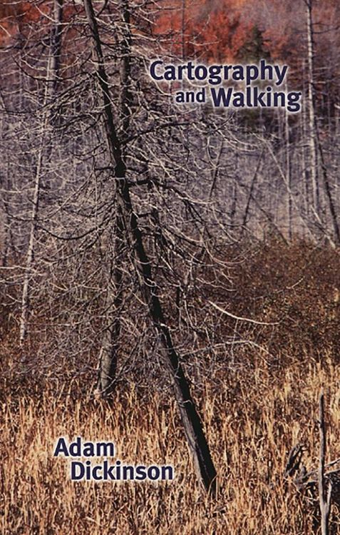 Produktbild: Cartography and Walking