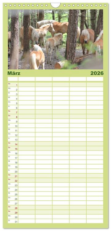 Produktbild: Familienplaner 2026 - Alpenpferde mit 5 Spalten (Wandkalender, 21 x 45 cm) CALVENDO