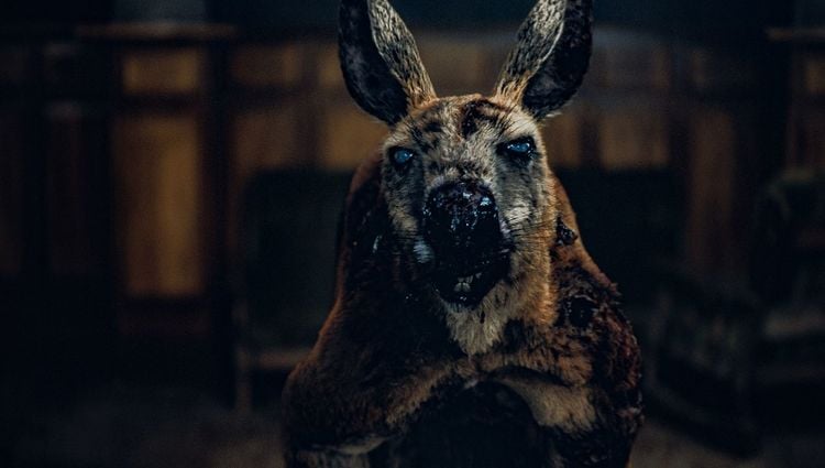 Produktbild: Rippy - Das Killerk&auml;nguru - 2-Disc Limited Collector's SteelBook (UHD-Blu-ray + Blu-ray)