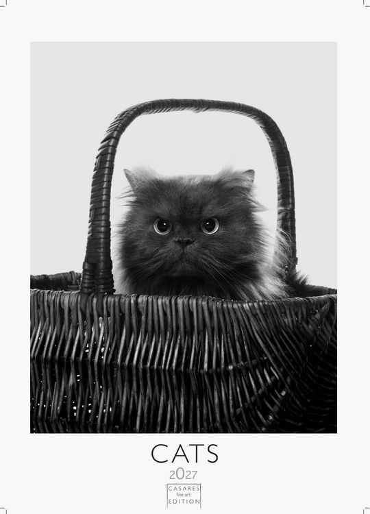 Produktbild: Cats schwarz-weiss Kalender 2027 &ndash; Wandkalender | Fotokalender Tierkalender Grosses Format 59x42cm. - Katzenkalender | Perfekt f&uuml;r Katzenliebhaber und Tierkalenderfans