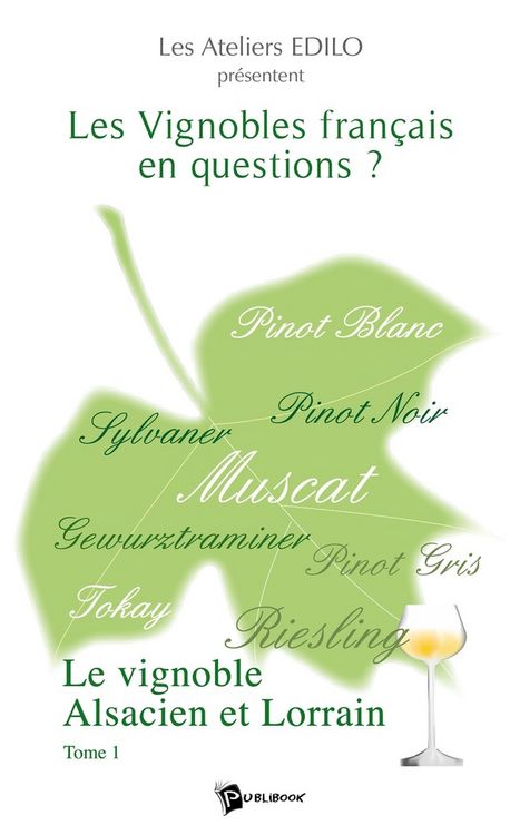 Produktbild: Les vignobles francais en questions