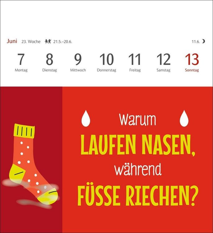 Produktbild: Der fette Vogel bricht den Ast Postkartenkalender 2027 - Wochenkalender - 53 Karten mit frechen Spr&uuml;chen