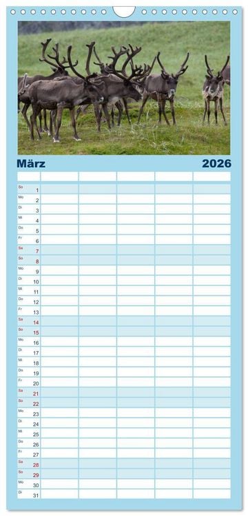 Produktbild: Familienplaner 2026 - Lappland mit 5 Spalten (Wandkalender, 21 x 45 cm) CALVENDO