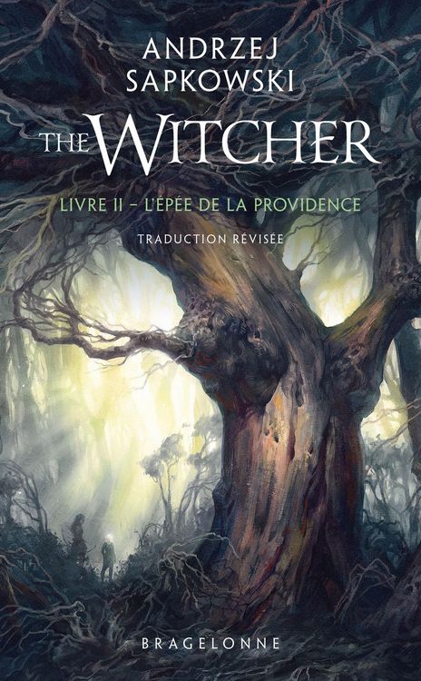 Produktbild: Sorceleur (Witcher), T2 : L'&Eacute;p&eacute;e de la providence (traduction r&eacute;vis&eacute;e)
