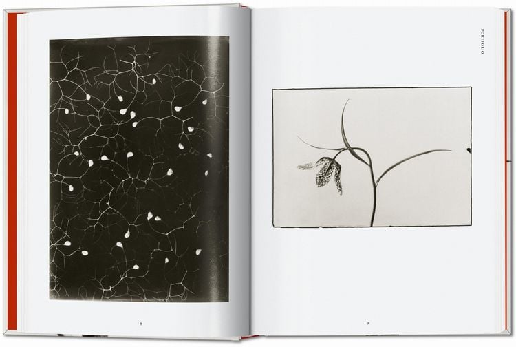 Produktbild: Karl Blossfeldt. The Complete Published Work. 45th Ed.