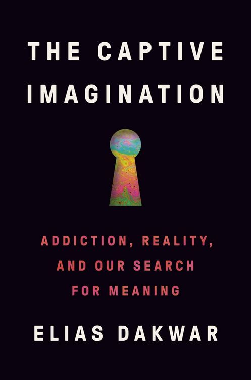 Produktbild: The Captive Imagination