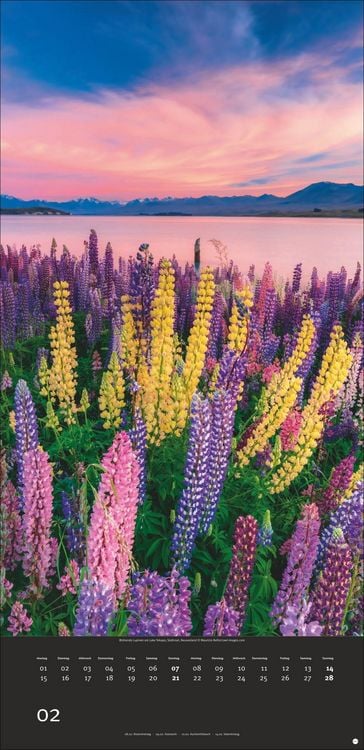 Produktbild: Colourful Nature 2027
