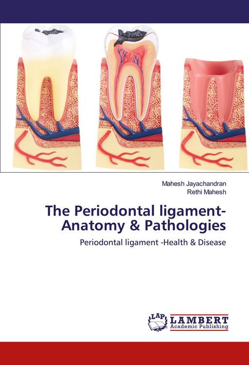 Produktbild: The Periodontal ligament- Anatomy & Pathologies