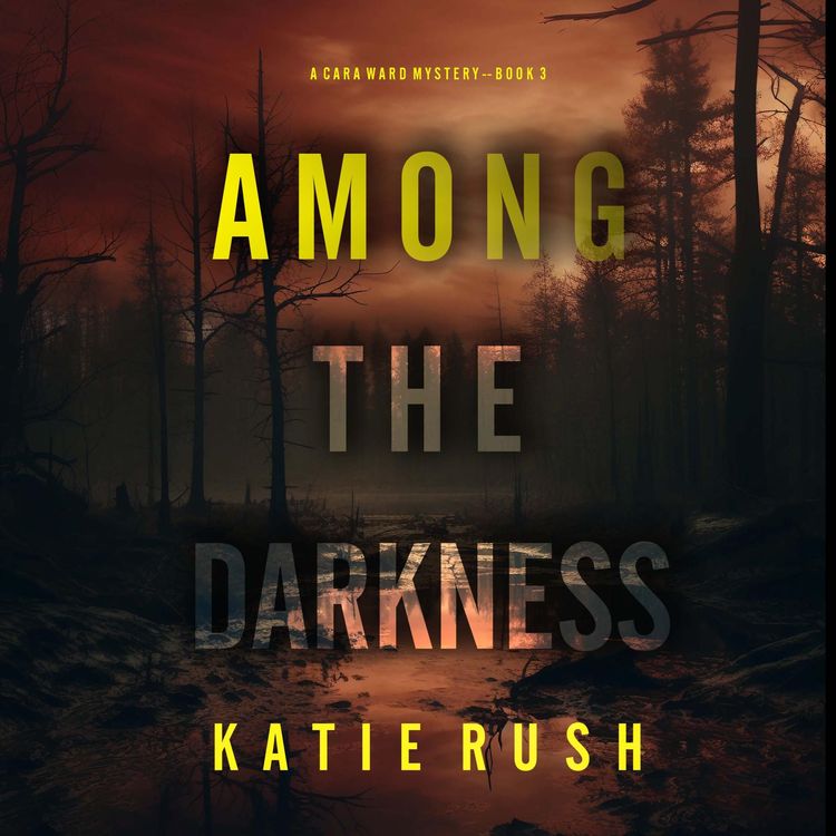 Produktbild: Among the Darkness (A Cara Ward FBI Suspense Thriller&mdash;Book 3)