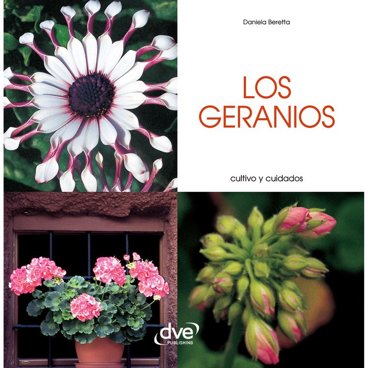 Produktbild: Los geranios - Cultivo y cuidados