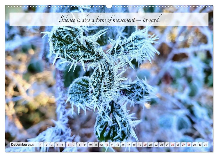 Produktbild: Breathe. See. Shift. Photographic and poetic inspiration for an alert life (High Quality Premium Wall Calendar 2026 DIN A2 landscape),CALVENDO 12 Mont