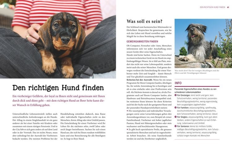 Produktbild: Praxishandbuch Hunde