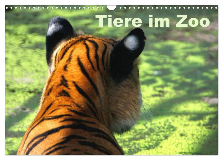 Produktbild: Tiere im Zoo (Wandkalender 2026 DIN A3 quer), CALVENDO Monatskalender