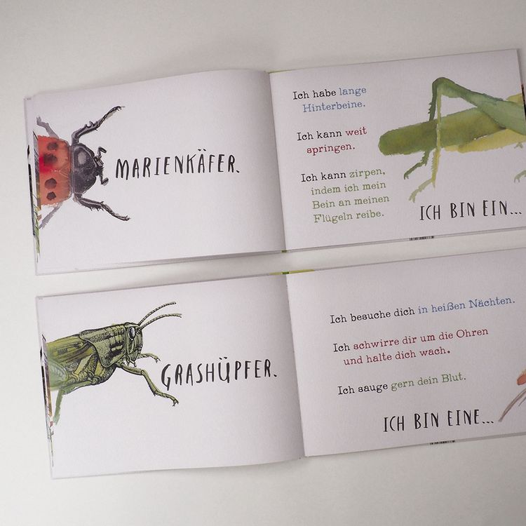 Produktbild: Hinten und vorn - Alles, was krabbelt und fliegt