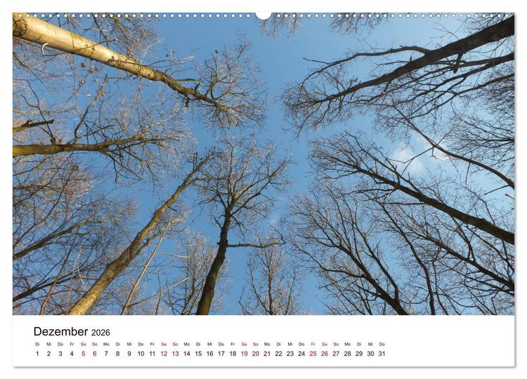 Produktbild: Bad Schwartau (hochwertiger Premium Wandkalender 2026 DIN A2 quer), Kunstdruck in Hochglanz