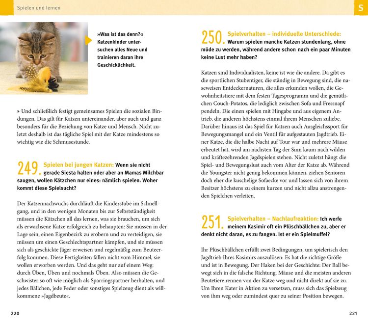 Produktbild: 300 Fragen zum Katzenverhalten