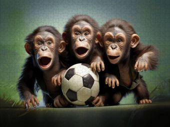 Produktbild: CALVENDO Puzzle Fu&szlig;ballfieber bei den Affenbabys | 1000 Teile Lege-Gr&ouml;&szlig;e 64x48cm Foto-Puzzle f&uuml;r gl&uuml;ckliche Stunden